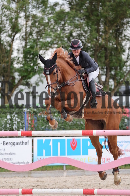 Achern_2025_Prfg.Nr.02_Springprfg.Kl.S_Lea Sophia Gut_Valentina 90 (5) | Alle Fotos der Reiterjournal Fotografin Doris Matthaes im Reiterjournal Online-Fotoshop. - Realisiert mit Pictrs.com