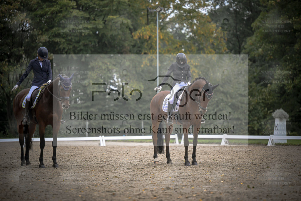 FOTO OGER | Bilder aus dem Reitsport by Foto Oger - Domenic Schlinge - Realisiert mit Pictrs.com