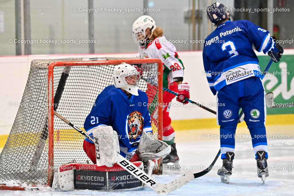 BST_9439 | hockey sports photos, Pressefotos, Sportfotos, hockey247, win 2day icehockeyleague, Handball Austria, Floorball Austria, ÖVV, Kärntner Eishockeyverband, KEHV, KFV, Kärntner Fussballverband, Österreichischer Volleyballverband, Alps Hockey League, ÖFB, 