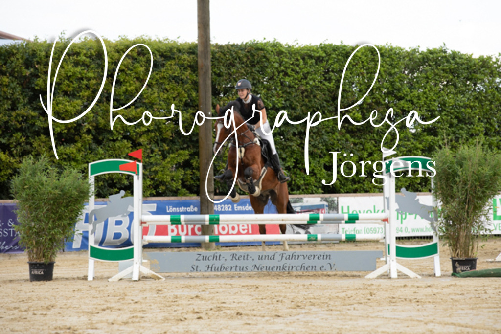 IMG_6223 | photographesa-joergens - Realisiert mit Pictrs.com