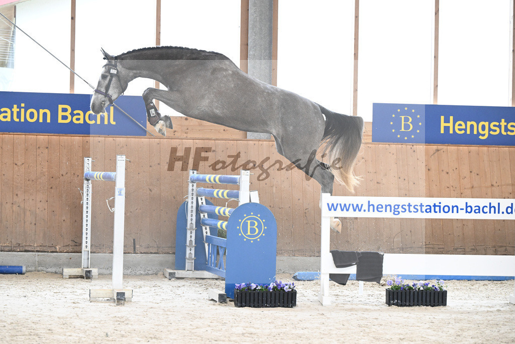 Kat-Nr. 41 Ferdinand vom Imhoff v. Cornet Obolensky_Imhoff_7240374 | hf-fotografie - Realisiert mit Pictrs.com