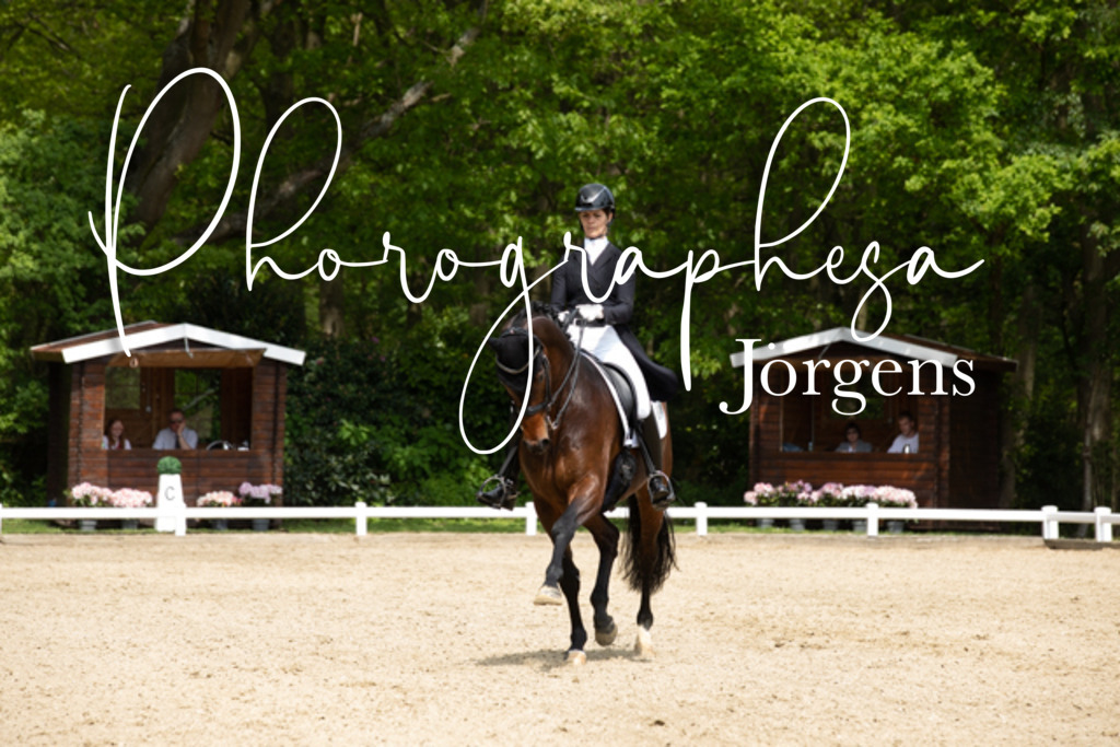 IMG_1595 | photographesa-joergens - Realisiert mit Pictrs.com