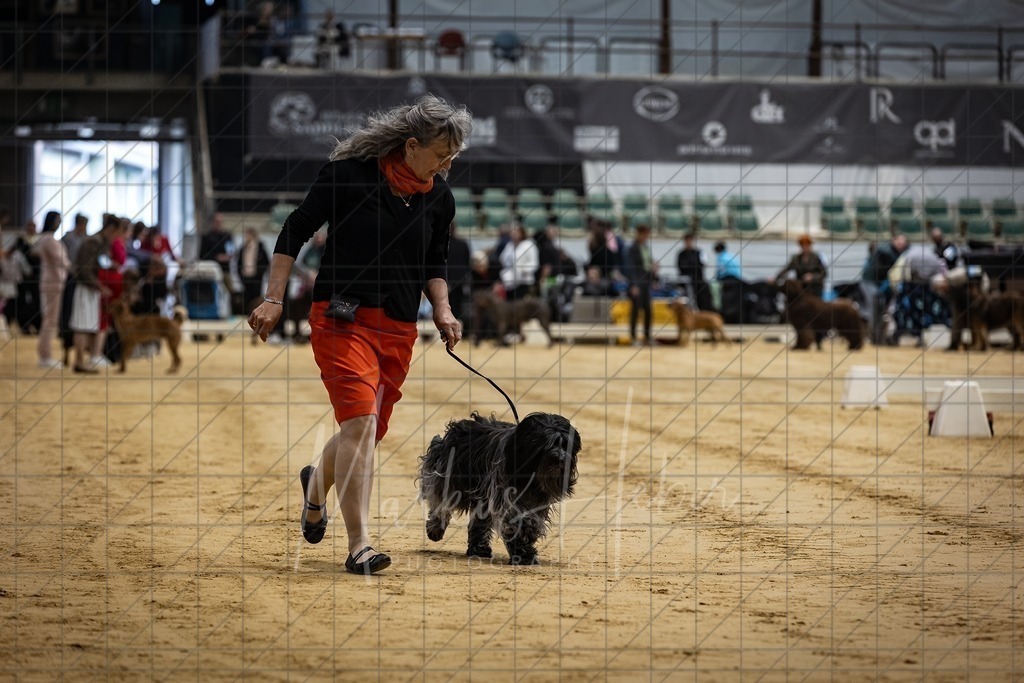 DS - FCI Gruppe 1_0080 | Markus Heber Photography