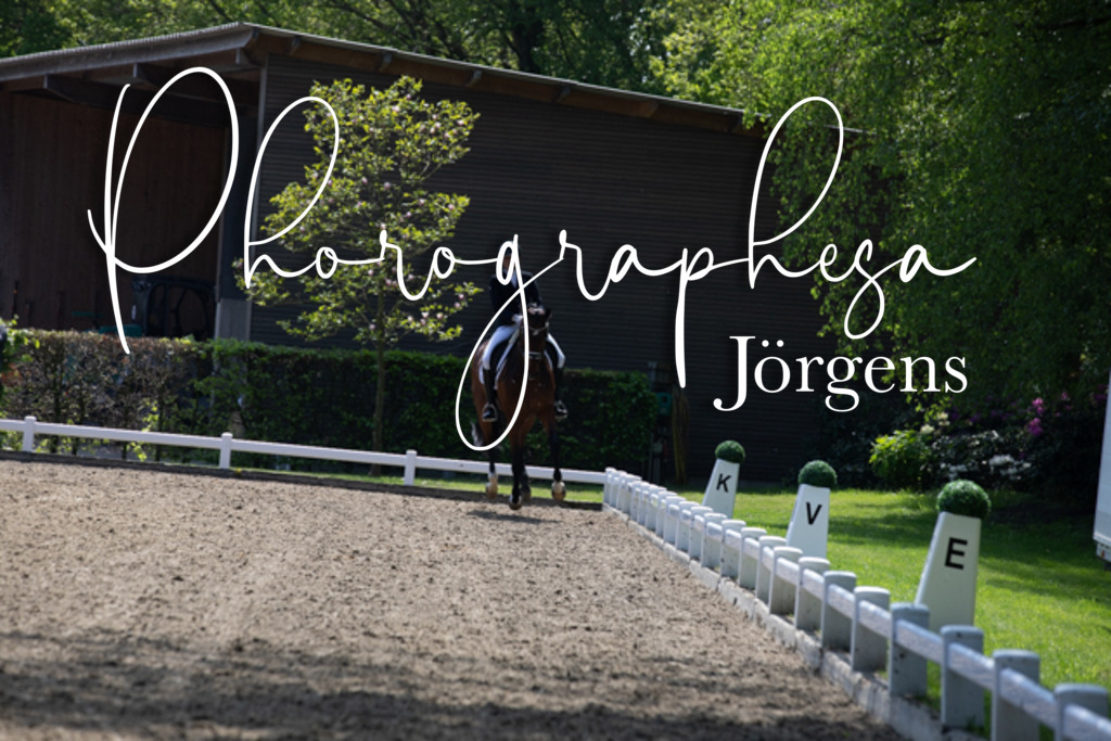 IMG_8453 | photographesa-joergens - Realisiert mit Pictrs.com
