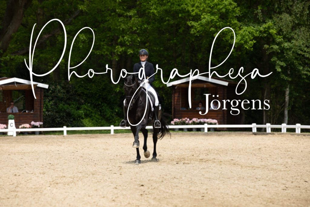 IMG_1694 | photographesa-joergens - Realisiert mit Pictrs.com