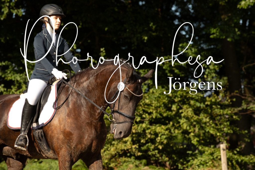 IMG_1010 | photographesa-joergens - Realisiert mit Pictrs.com