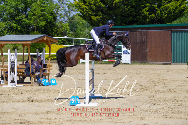 Bornheim Sp 24_Do Pr15_0079 | Turniersportfotografie; Pferdefotografie; Dressurfotografie