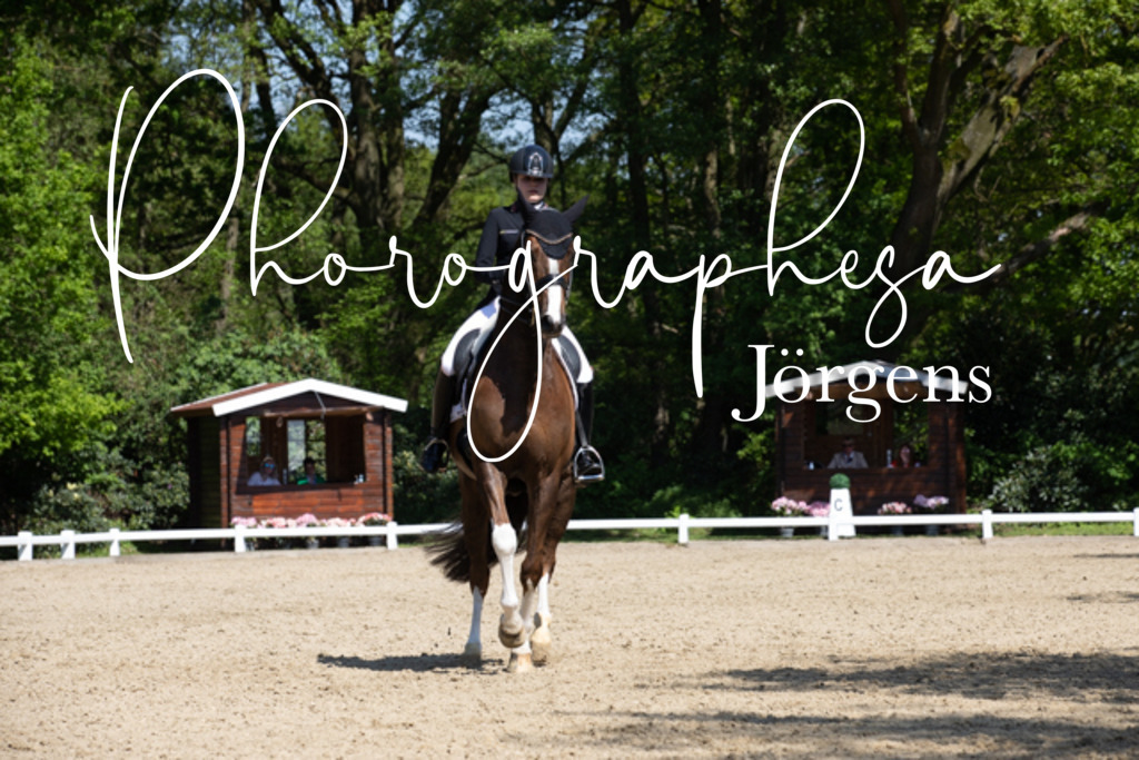 IMG_4039 | photographesa-joergens - Realisiert mit Pictrs.com