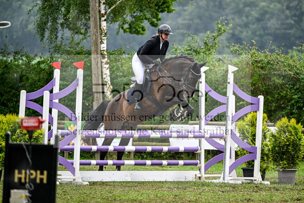 Bissendorfer Reitertage | Bilder aus dem Reitsport by Foto Oger - Domenic Schlinge - Realisiert mit Pictrs.com