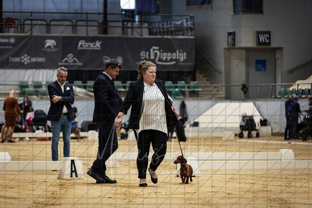 DS - Bester Junghund_0147 | Markus Heber Photography