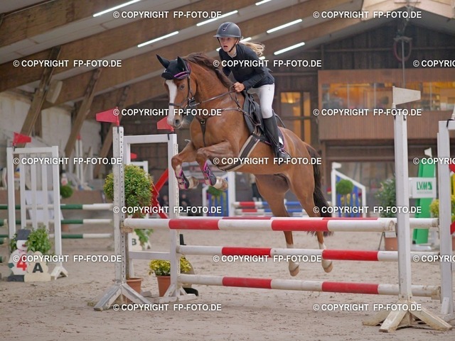 P0161965.t | FP-Foto.de - Realisiert mit Pictrs.com