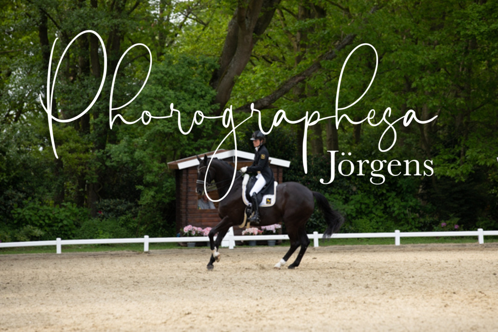 IMG_3118 | photographesa-joergens - Realisiert mit Pictrs.com