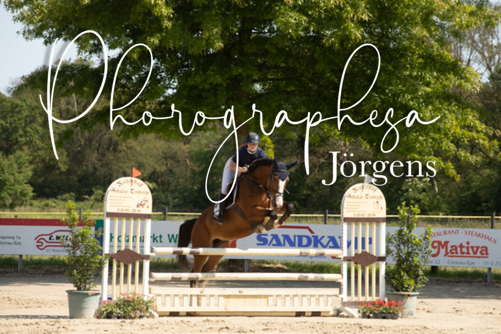 IMG_5483 | photographesa-joergens - Realisiert mit Pictrs.com