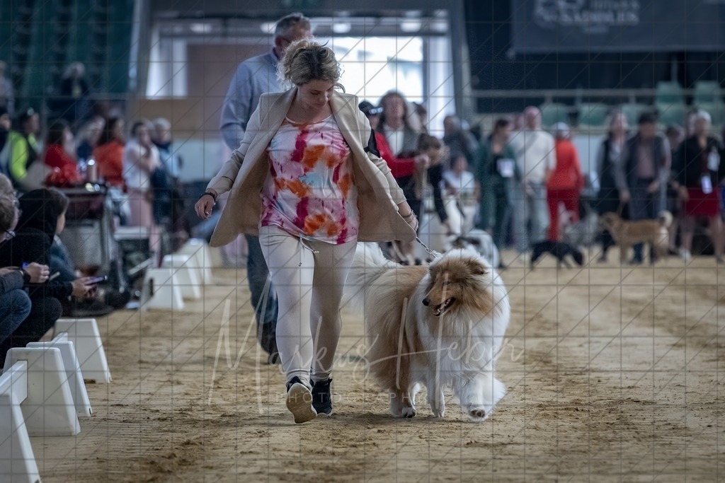 DS - Bester Junghund_0012 | Markus Heber Photography