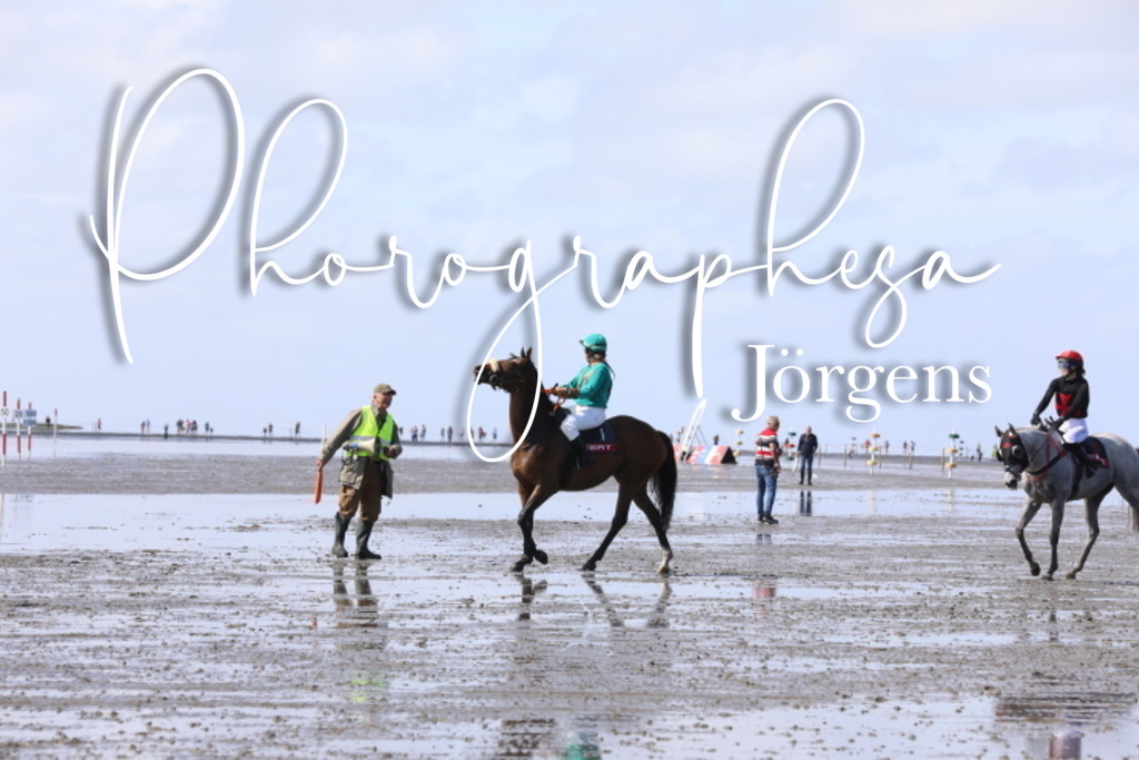 IMG_8489 | photographesa-joergens - Realisiert mit Pictrs.com