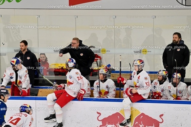 RED BULL Eishockey Akademie vs. EK Zeller Eisbären 25.1.2024 | Spielerbank Red Bull Juniors, Headcoach Red Bull Juniors LEVIJOKI Teemu, #47 Rebernig Alexander, #26 Bosecker Lars Lion, #43 Sinn Phillip Jakob, #13 Schreiner Vadim, #21 Mackner Maximilian, #11 Pul Elias