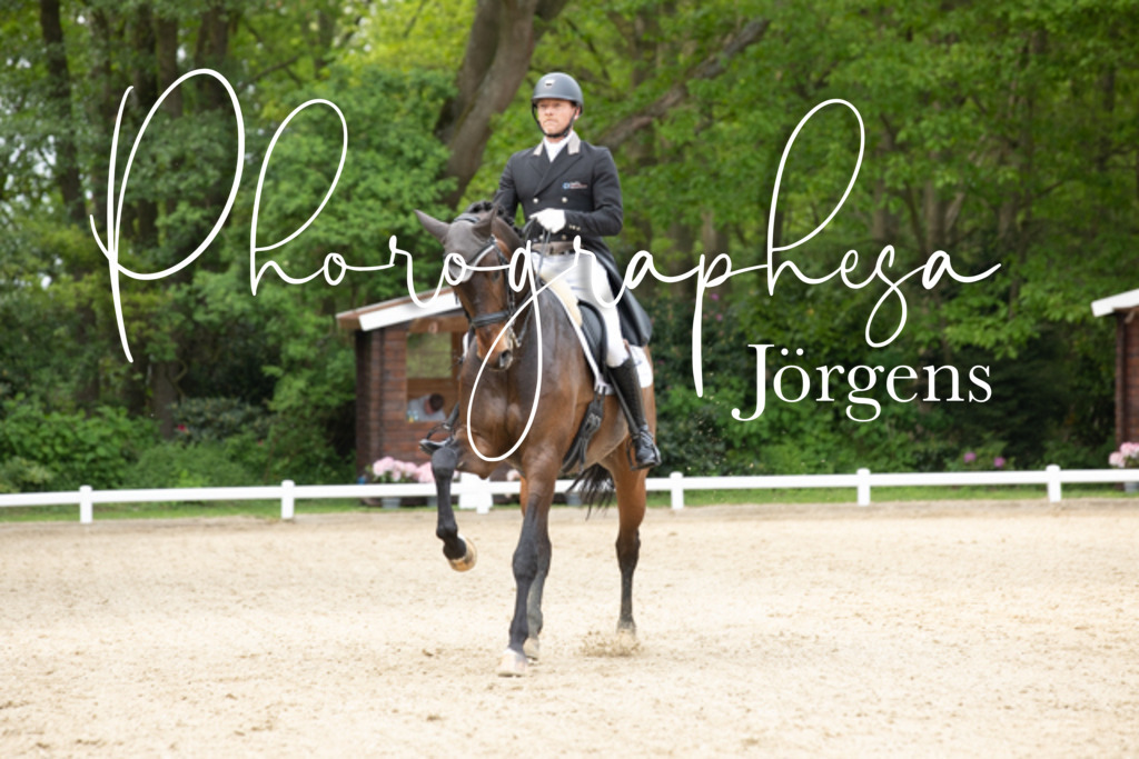 IMG_2618 | photographesa-joergens - Realisiert mit Pictrs.com