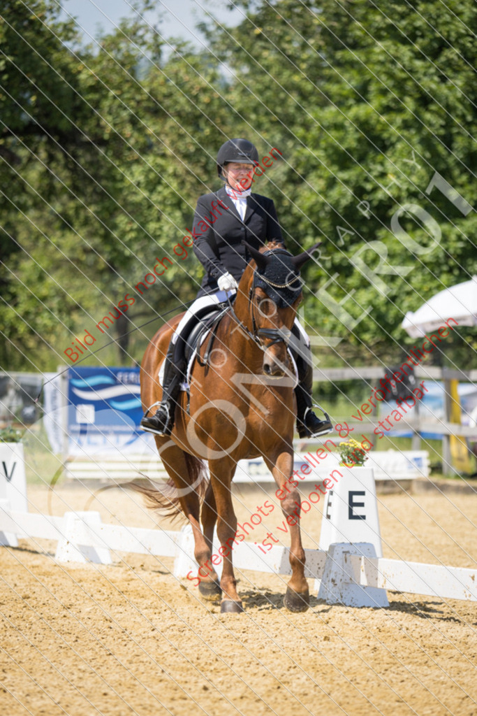 IMG_7344 | Hier findest Du viele Augenblicke aus den Bereichen der Turnier-, Sport- & Tierfotografie. Bilder mit deinem Liebling, Portrait-, Bewerbungs-, Businessbilder können ebenfalls schnell und einfach erstellt werden.