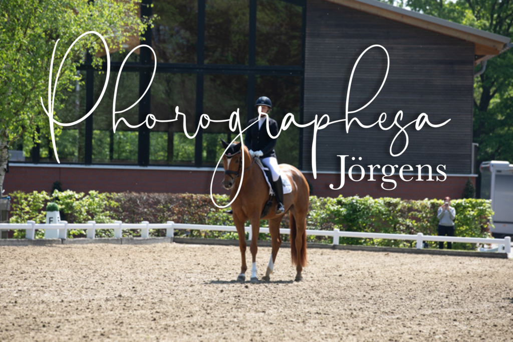 IMG_8536 | photographesa-joergens - Realisiert mit Pictrs.com