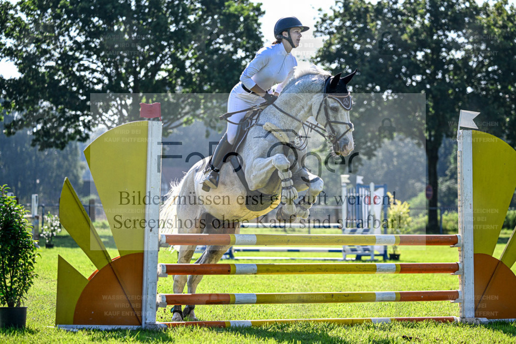 Reitturnier Hasbergen | Bilder aus dem Reitsport by Foto Oger - Domenic Schlinge - Realisiert mit Pictrs.com