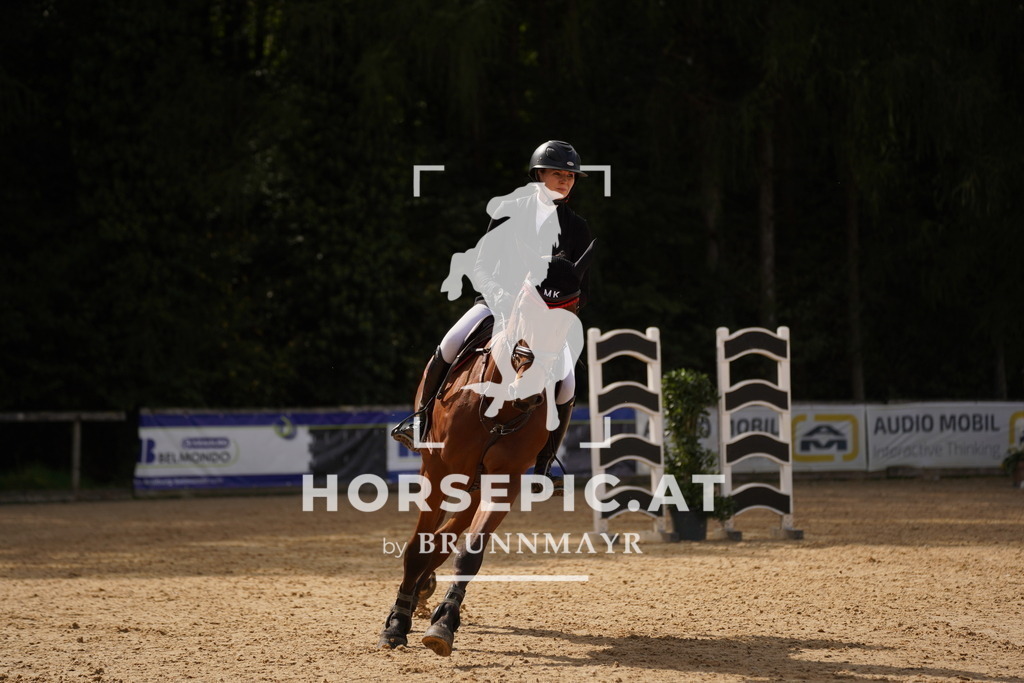 DSC01110 | Willkommen bei Brunnmayr - Design & Fotografie – Ihrem Spezialisten für Reitturniere und Pferdeveranstaltungen in Oberösterreich, Salzburg und Bayern! Seit über 17 Jahren sind wir leidenschaftlich dabei.
