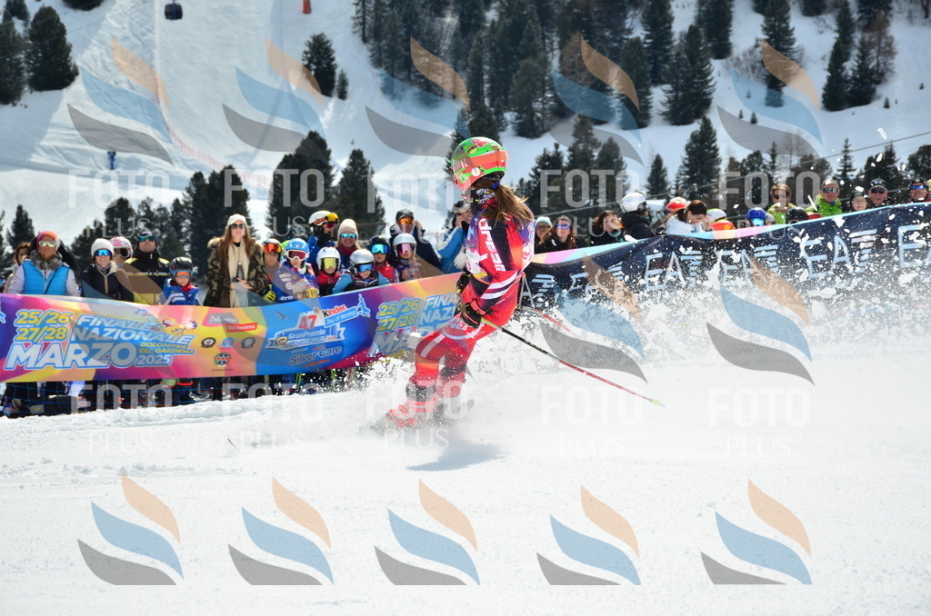 SLV_0585 | holidayphoto
