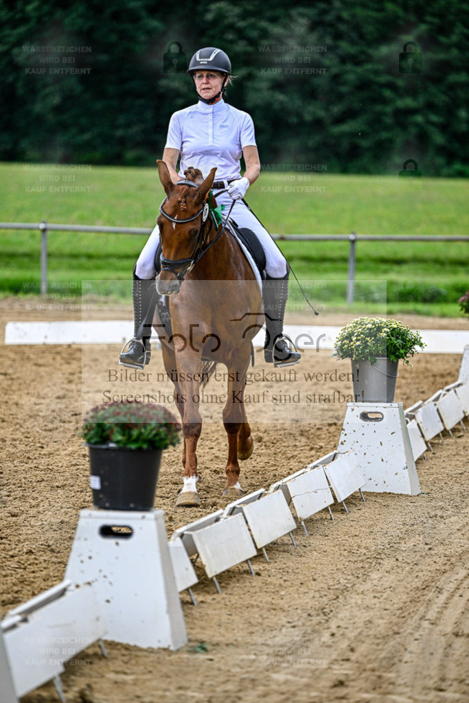 Reitturnier Hasbergen | Bilder aus dem Reitsport by Foto Oger - Domenic Schlinge - Realisiert mit Pictrs.com