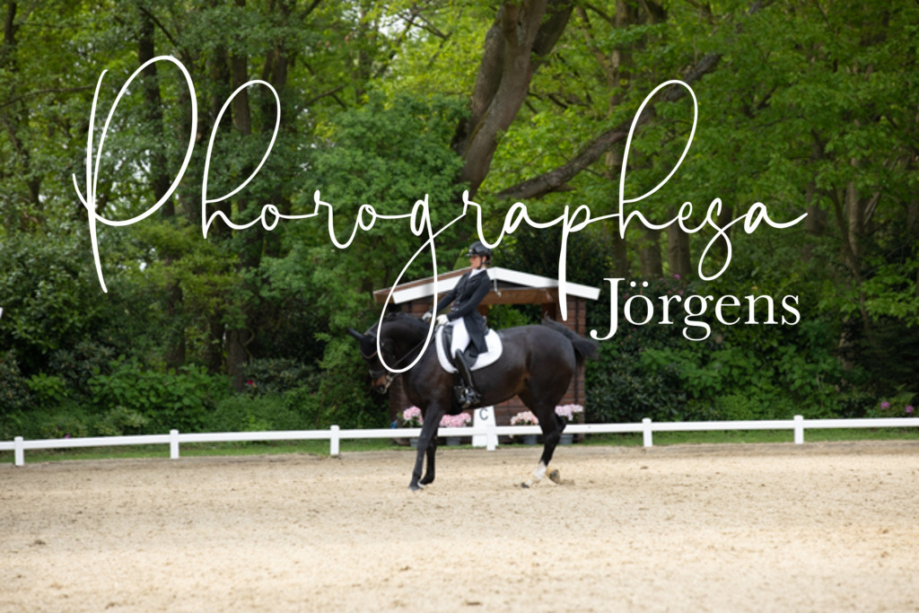 IMG_2975 | photographesa-joergens - Realisiert mit Pictrs.com