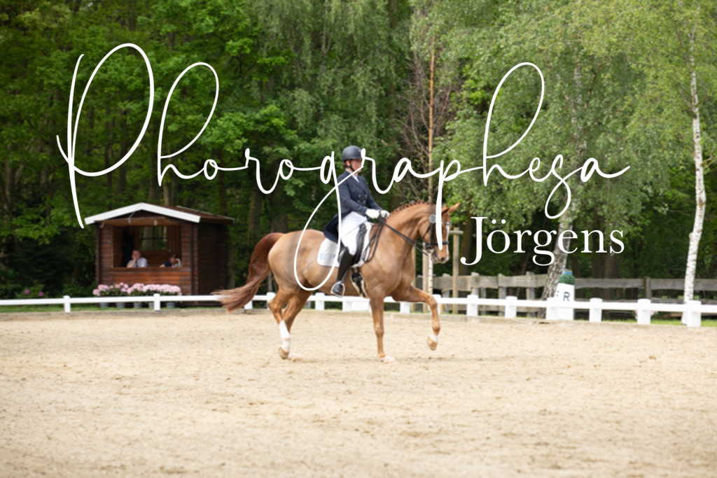 IMG_2649 | photographesa-joergens - Realisiert mit Pictrs.com