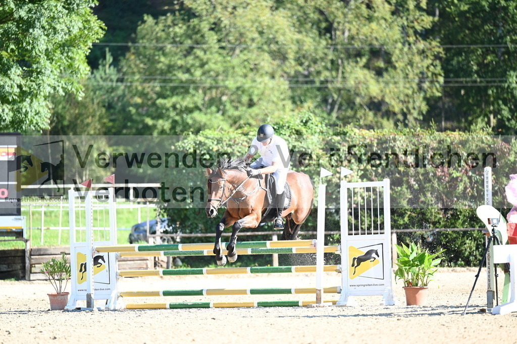 DSC_8768 | equestrian-live-com