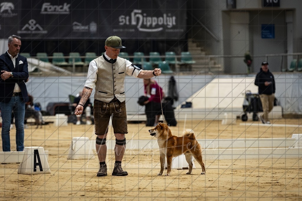DS - Bester Junghund_0152 | Markus Heber Photography