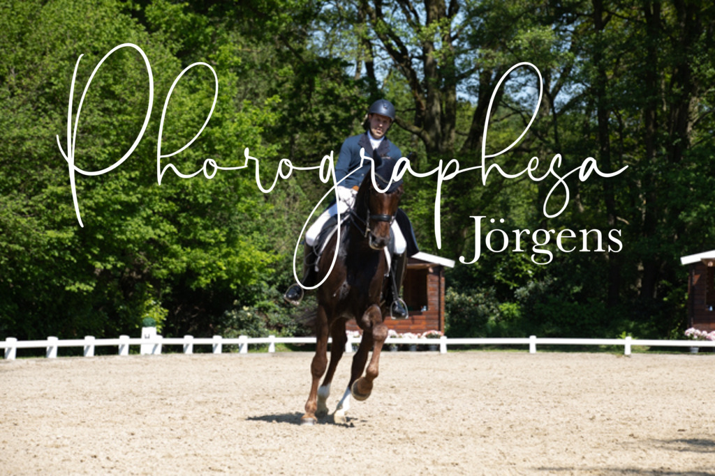 IMG_4107 | photographesa-joergens - Realisiert mit Pictrs.com