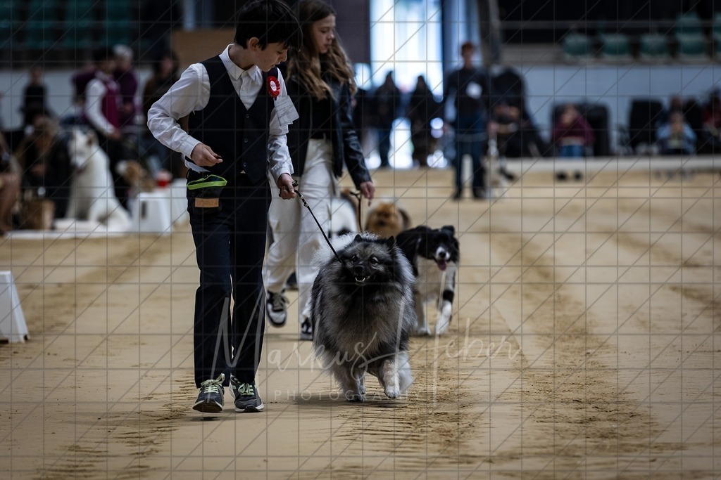 DS - Junior-Handling I_0004 | Markus Heber Photography