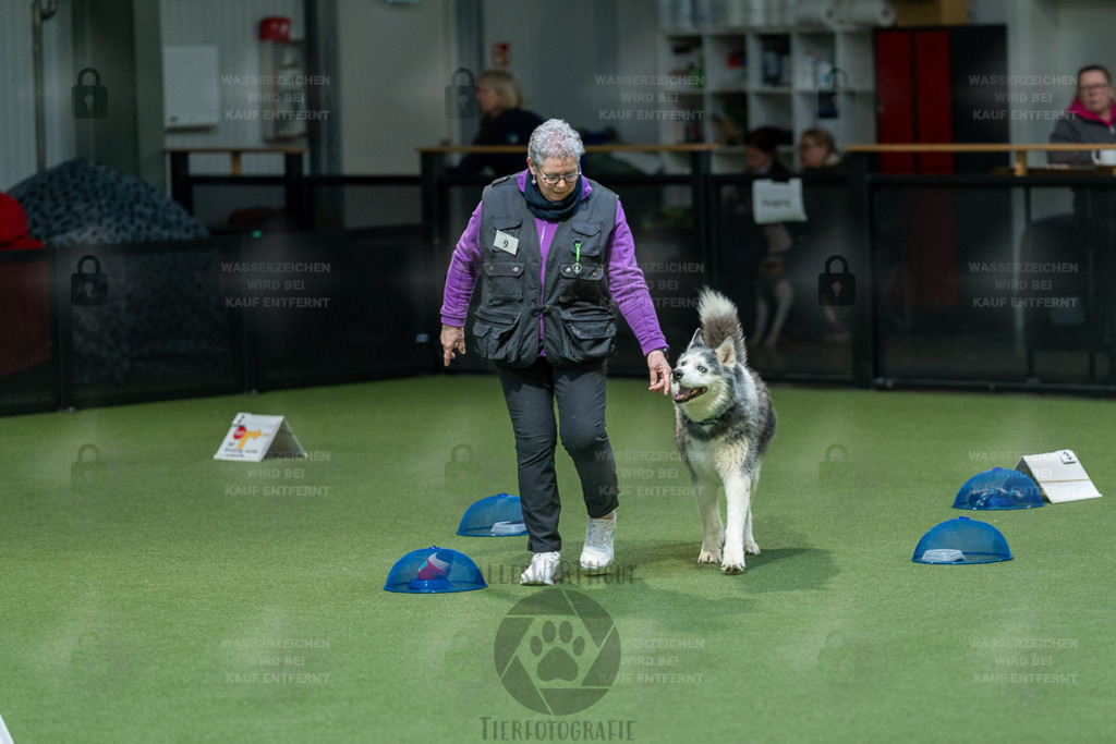 7IV02489 | Professionelle Tierfotografie in Mönchengladbach von Daniel Wirth (allesWIRTHgut). Liebevolle & natürliche Bilder von Hunden & Katzen für unvergessliche Erinnerungen.