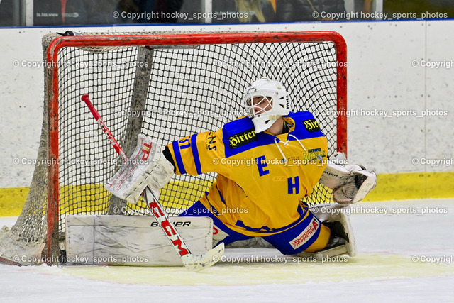 EHC Althofen vs. ESC Steindorf 27.2.2023 | #31 Horn Fabian