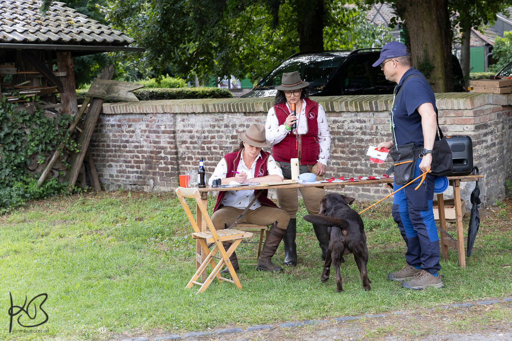 20240706-H15A8034-2comp | Hundefotografie Katrin Bücker Hundefotografie am Niederrhein - Realisiert mit Pictrs.com