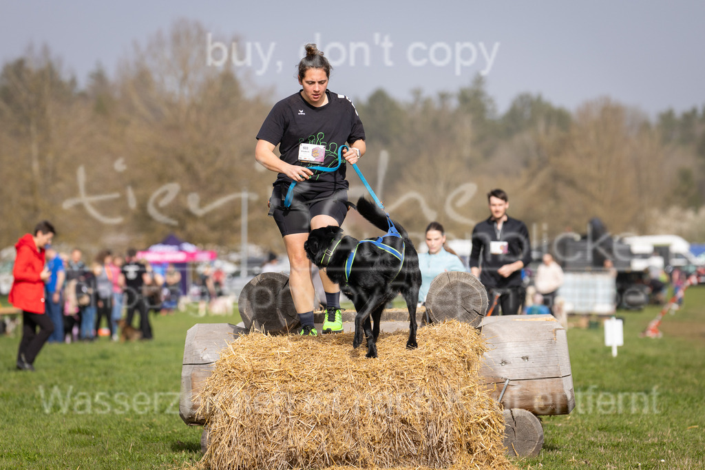 FM6A8354 | Herzlich Willkommen im Onlineshop von tierische Augenblicke.
Viel Spaß beim aussuchen ihrer Bilder und vielen Dank für ihren Einkauf.
Viele Grüße, ihr Fotograf Stefan Grube