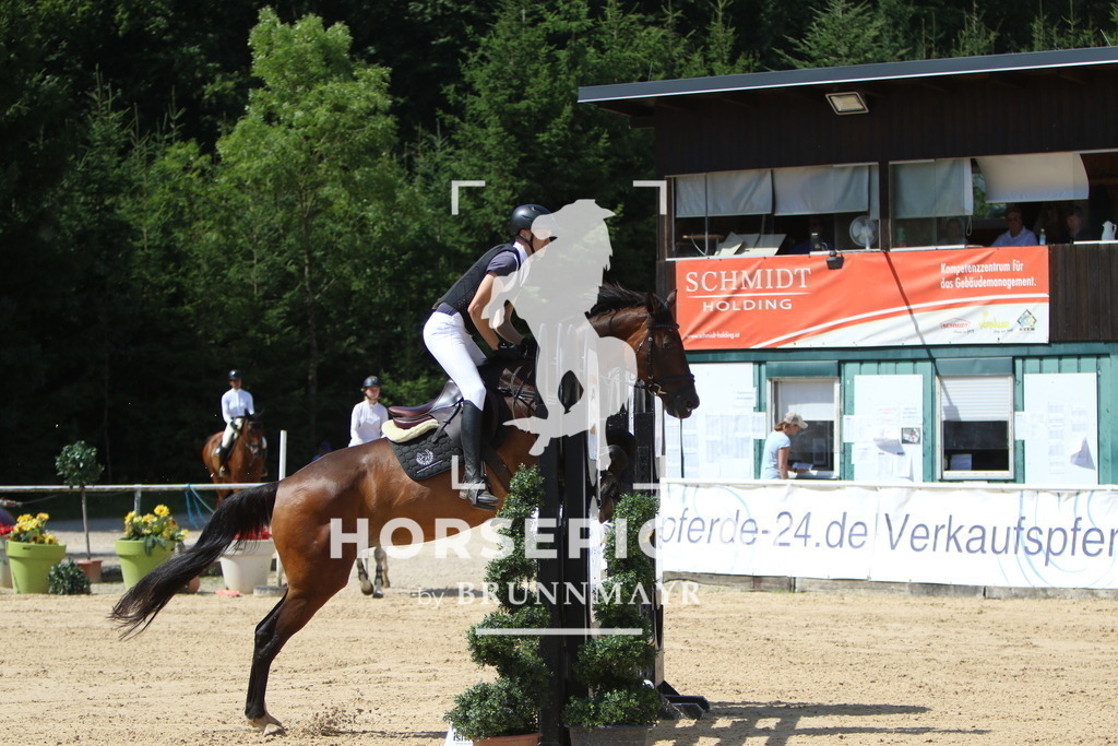 7V2A2760 | Willkommen bei Brunnmayr - Design & Fotografie – Ihrem Spezialisten für Reitturniere und Pferdeveranstaltungen in Oberösterreich, Salzburg und Bayern! Seit über 17 Jahren sind wir leidenschaftlich dabei.