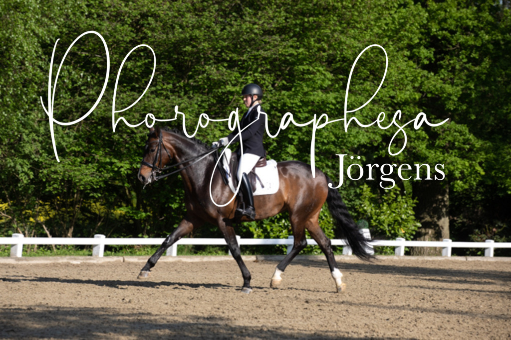 IMG_2629 | photographesa-joergens - Realisiert mit Pictrs.com