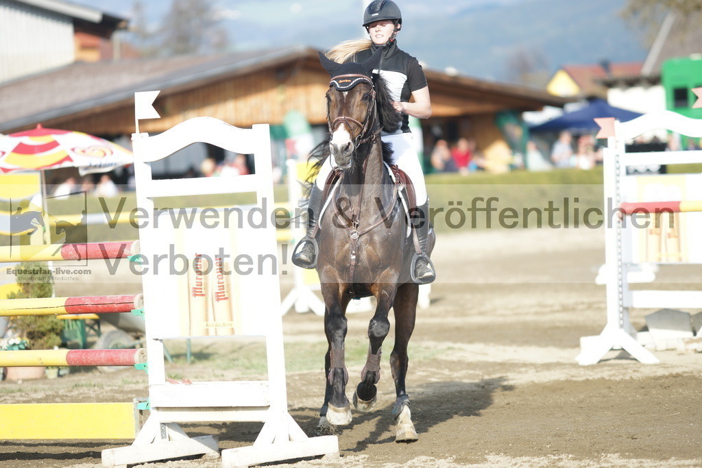 DSC03511 | equestrian-live-com