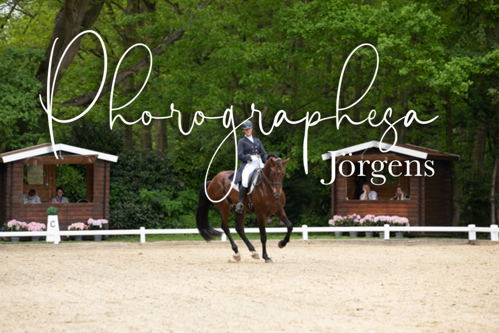 IMG_2393 | photographesa-joergens - Realisiert mit Pictrs.com