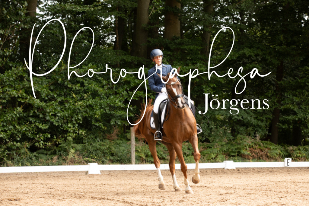 IMG_2554 | photographesa-joergens - Realisiert mit Pictrs.com