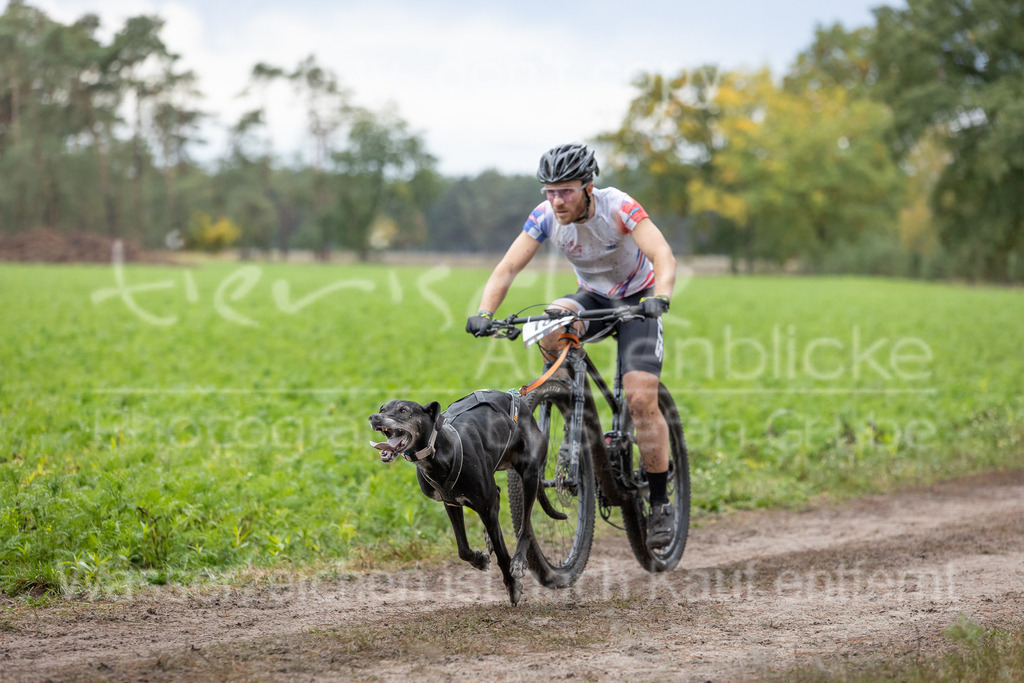 CJ8A8665 | Herzlich Willkommen im Onlineshop von tierische Augenblicke.
Viel Spaß beim aussuchen ihrer Bilder und vielen Dank für ihren Einkauf.
Viele Grüße, ihr Fotograf Stefan Grube