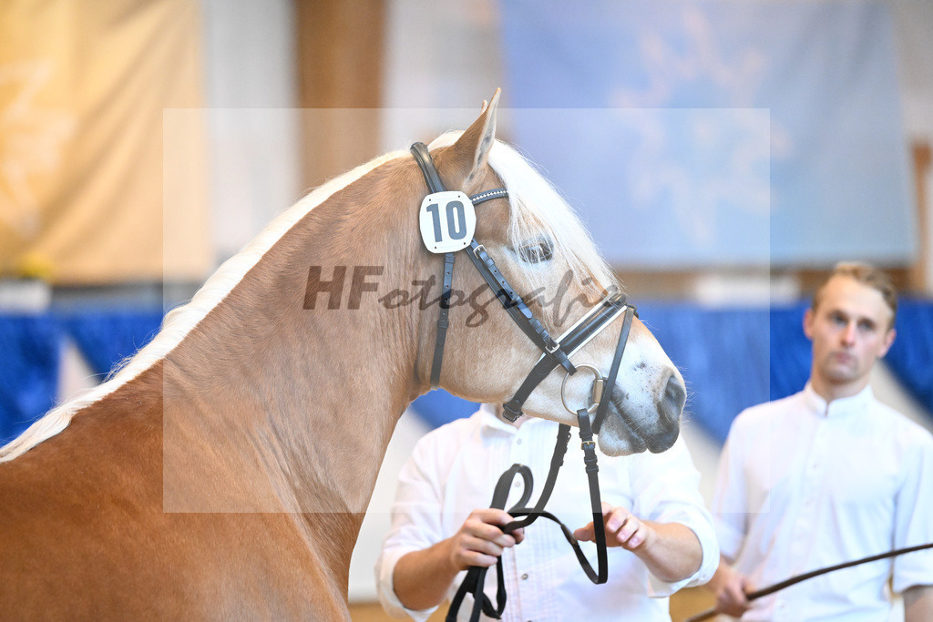 Kat-Nr. 10 nn v. Bugatti_Obermeyer_60220676 | hf-fotografie - Realisiert mit Pictrs.com