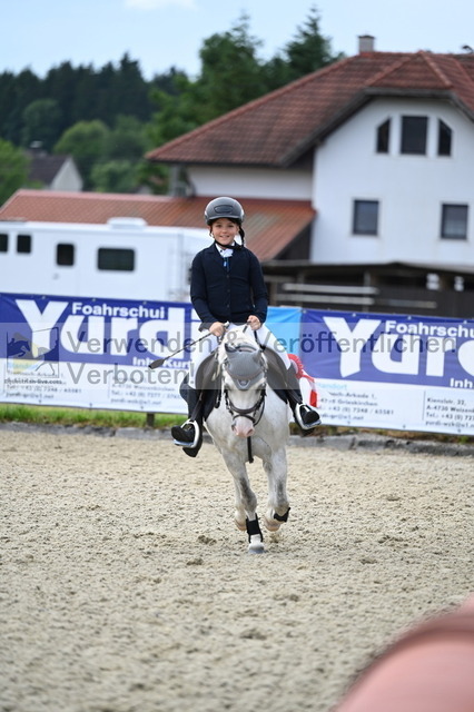 DSC_5001 | equestrian-live-com