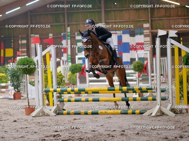 P0091156.t | FP-Foto.de - Realisiert mit Pictrs.com