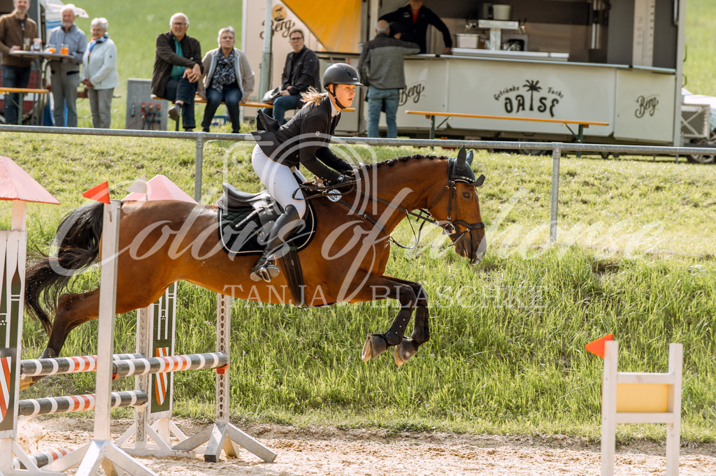 TBL_6171 | Turnierfotos von Reitturnieren in den Landkreisen Biberach, Ravensburg und in ganz Oberschwaben - von Tanja Bläschke - Colorsofahorse - Realisiert mit Pictrs.com