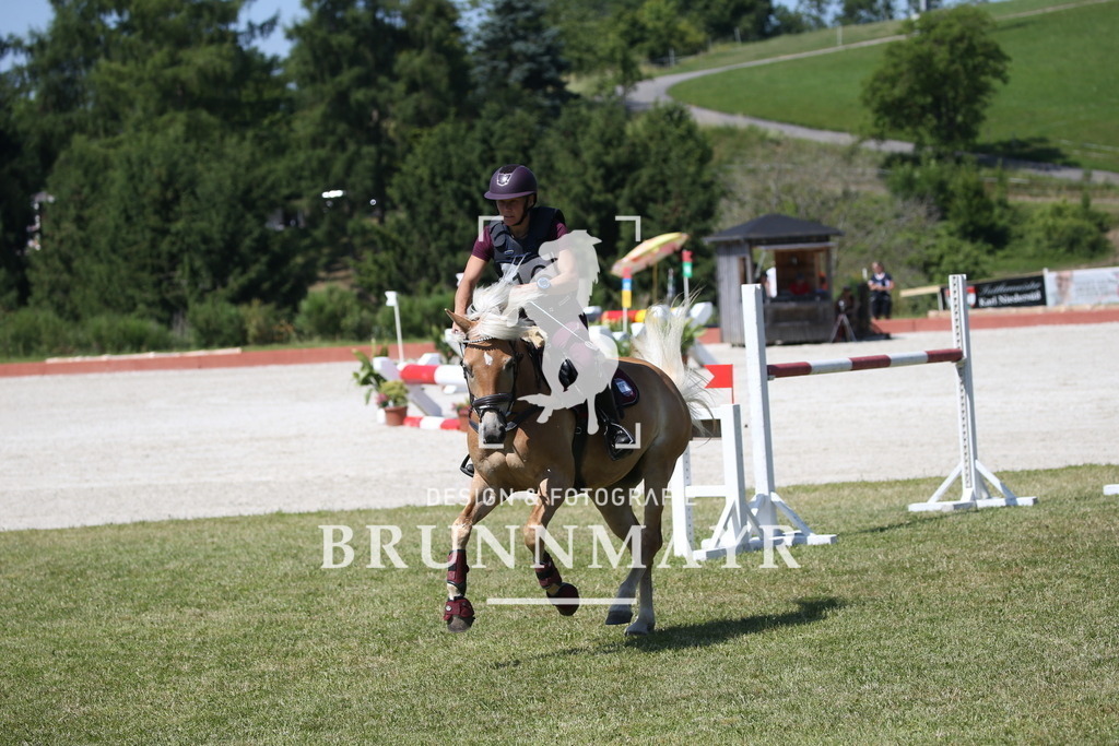 DL2Q0211 | Willkommen bei Brunnmayr - Design & Fotografie – Ihrem Spezialisten für Reitturniere und Pferdeveranstaltungen in Oberösterreich, Salzburg und Bayern! Seit über 17 Jahren sind wir leidenschaftlich dabei.
