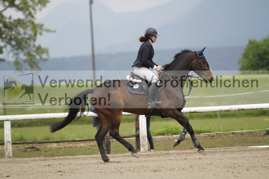 _MG_7869 | equestrian-live-com