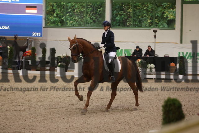 Gut Ising_2023_Prfg.Nr.11_Dressur_Kl.M_Jule Peters_Balou der Bär (5) | Alle Fotos der Reiterjournal Fotografin Doris Matthaes im Reiterjournal Online-Fotoshop. - Realizzato con Pictrs.com